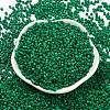 Baking Paint Glass Seed Beads SEED-S042-05A-20-2