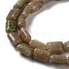 Natural China Unakite Beads Strands G-G085-A27-01-3