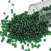 TOHO 8/0 Round Beads SEED-TR08-0167B-1