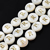 Natural Freshwater Shell Beads SHEL-S276-168R-1