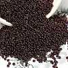 TOHO 6/0 Demi Round Beads SEED-DR06-0502-3