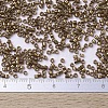 MIYUKI Delica Beads SEED-X0054-DB0022L-4