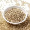 MIYUKI Round Rocailles Beads SEED-X0055-RR0161-2