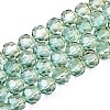 Baking Paint Transparent Glass Beads Strands DGLA-A035-T8mm-A11-1