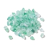 Acrylic Beads OACR-C020-02F-1