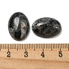 Natural Larvikite Cabochons G-C115-01A-40-3