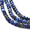 Natural Lapis Lazuli Beads Strands G-Z035-A01-02A-4