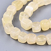 Natural Dolomite Beads Strands G-T131-56H-3