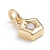 Brass Micro Pave Cubic Zirconia Pendants X-ZIRC-G165-06G-4