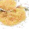 Transparent Colours Glass Seed Beads SEED-H003-01H-1