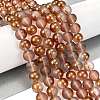 Frosted Transparent Glass Bead Strands GLAA-P065-10mm-13-1