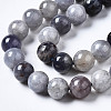 Natural Iolite Beads Strands G-N328-50C-01-3