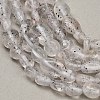Natural Biotite Beads Strands GG-CBAC61B-B02-02-B-3