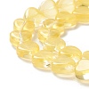 Transparent Glass Beads Strand GLAA-F112-03J-4