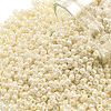 TOHO 11/0 Round Beads SEED-XTR11-0123L-1