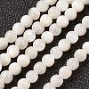 Natural White Shell Beads Strands G-G680-54-1