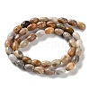 Natural Crazy Agate Beads Strands G-I369-B05-01-3