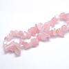 Natural Rose Quartz Beads Strands X-G-O049-C-60-3