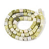 Natural Jade Beads Strands G-T141-95A-2