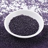 MIYUKI Round Rocailles Beads SEED-JP0008-RR0157-2