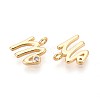 Brass Micro Pave Cubic Zirconia Charms KK-N263-97G-M-2