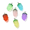 Transparent Resin Fruit Pendants CRES-Z003-02-1