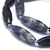 Natural Iolite Beads Strands G-O179-G22-3