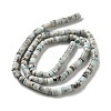 Natural Larimar Beads Strands G-Q024-B03-01-3