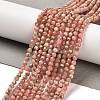 Natural Argentina Rhodonite Beads Strands G-B107-A04-04-1
