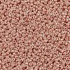 MIYUKI Round Rocailles Beads X-SEED-G009-RR0429-3