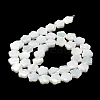 Natural Trochus Shell Beads Strands BSHE-P033-07-5