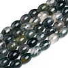 Natural Moss Agate Beads Strands G-E560-J01-1