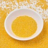 MIYUKI Delica Beads SEED-X0054-DB1572-2