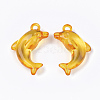 Transparent Acrylic Pendants X-TACR-S133-070-2
