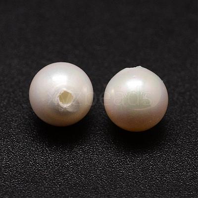 Shell Pearl Beads BSHE-L031-01-9mm-1