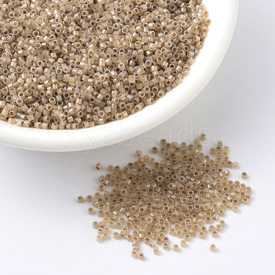 MIYUKI Delica Beads SEED-X0054-DB1731-1
