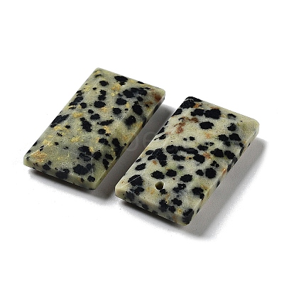 Natural Dalmatian Jasper Pendants G-G063-01E-1