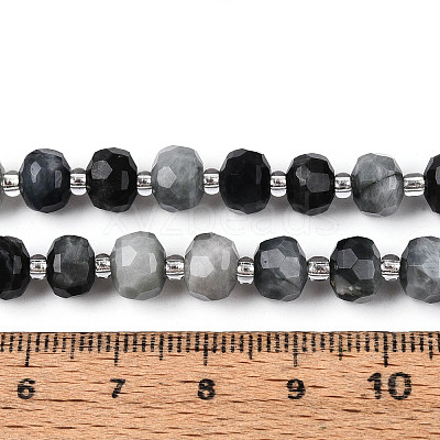 Natural Eagle Eye Stone Beads Strands G-N327-08A-02-1