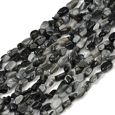 Natural Eagle Eye Stone Beads Strands G-Q060-D06-1