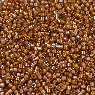 MIYUKI Delica Beads X-SEED-J020-DB1734-1