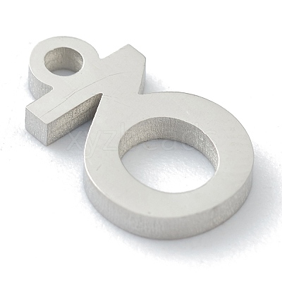 Non-Tarnish 304 Stainless Steel Charms STAS-G244-01D-1
