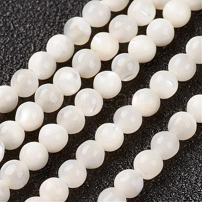 Natural White Shell Beads Strands G-G680-54-1