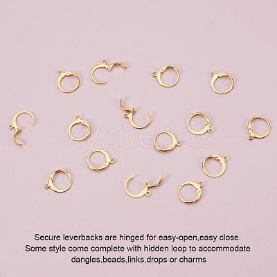 304 Stainless Steel Leverback Earring Findings X-STAS-G081-62G-1