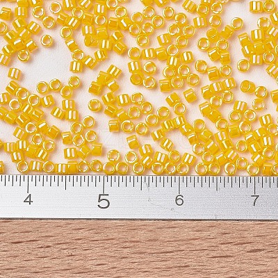 MIYUKI Delica Beads X-SEED-J020-DB1572-1