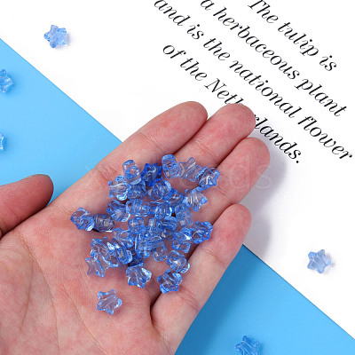 Transparent Acrylic Beads MACR-S373-45-B10-1