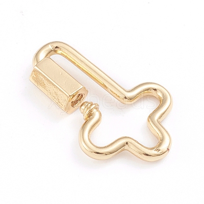 Brass Screw Carabiner Lock Charms ZIRC-I041-04G-1