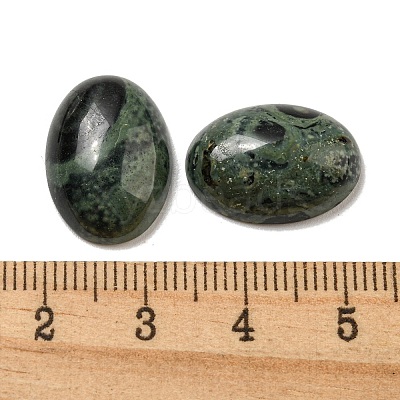 Natural Kambaba Jasper Cabochons G-C115-01A-22-1