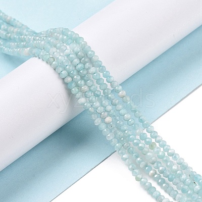 Natural Amazonite Beads Strands G-E194-02B-1