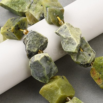 Raw Rough Natural Serpentine Beads Strands G-Z087-B14-1