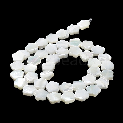 Natural Trochus Shell Beads Strands BSHE-P033-07-1